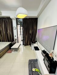 Sims Urban Oasis (D14), Condominium #585606481